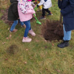 Blumenwiese_Baum der Vielfalt (2)