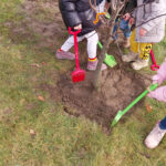 Blumenwiese_Baum der Vielfalt (3)