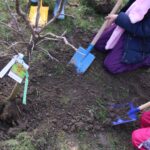 Samoastraße_Baum der Vielfalt (3)
