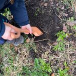 Samoastraße_Baum der Vielfalt (5)