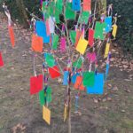 Sommerwind_Baum der Vielfalt (2)