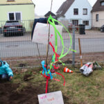 Zauberblüte_Baum der Vielfalt (6)