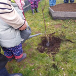 Zaunkönige_Baum der Vielfalt (1)