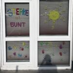 Zaunkönige_Stepke ist bunt