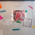 Ziegelsteinchen_Stepke ist bunt (4)